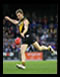 Melbourne is the sporting capital of Australia...