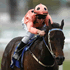 View Event: Black Caviar @ National Sports Museum