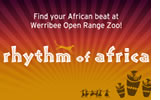 Rhythm of Africa