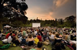 Films Under The Stars