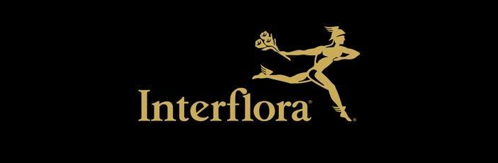 Interflora: Flowers the perfect gift Interflora: Flowers the perfect gift