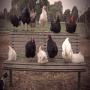 Bundoora Park Farm | Open Hours & Tickets