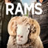Rams
