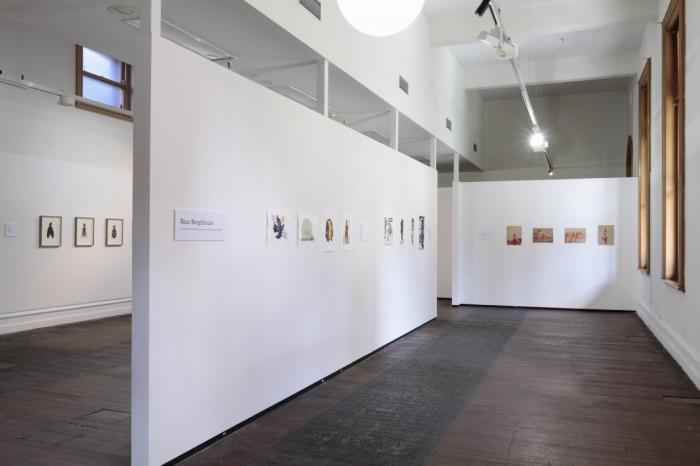 St Heliers Street Gallery