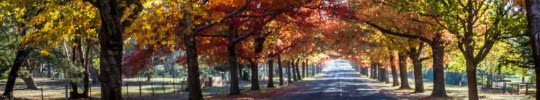 Newsletter #1009 What's On Melbourne