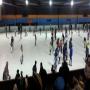 Olympic Ice Skating Centre | Open & Tickets