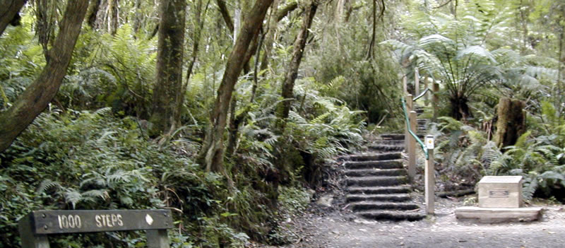 1000 Steps | Kokoda Track Memorial Walk - Open Times