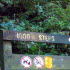 1000 Steps | Kokoda Track Memorial Walk - Open Times