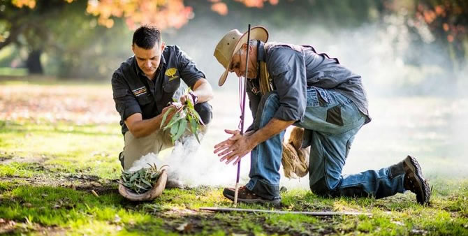 Aboriginal Heritage Walk @ Royal Botanic Gardens