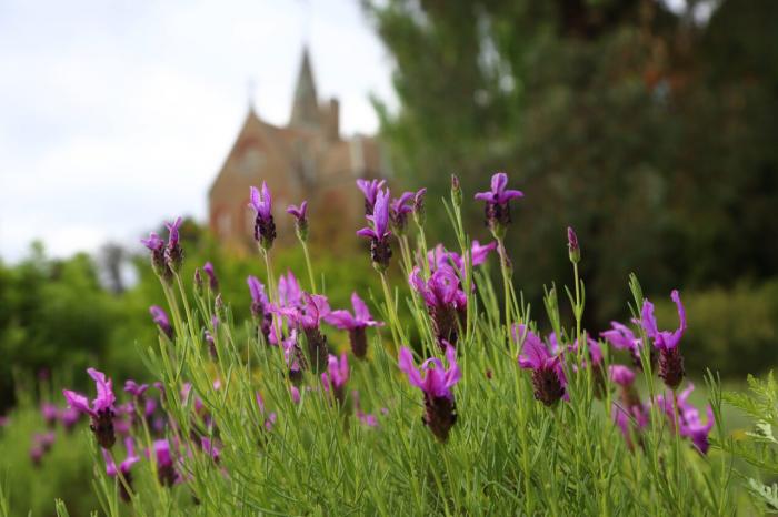 Abbotsford Convent | Heritage Garden and Grounds