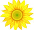 Australian Kindness Movement