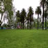 Alexandra Gardens