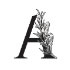 Aromi Restaurant