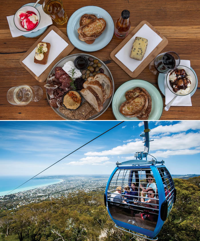 Arthurs Seat Eagle + Family Lunch for Four