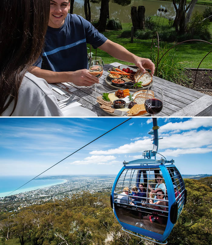 Arthurs Seat Eagle Cable Car Ride and Farmer's Lunch - For 2