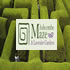 Ashcombe Maze & Lavender Gardens
