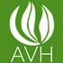 Australia's Virtual Herbarium