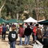 Avoca Riverside Market