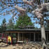 Ash Wednesday Bushfire Education Centre