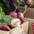 Ballan Farmers' Market