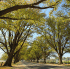 Ballan Lions Community Market