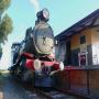 View Event: Swan Bay Express: Heritage Steam Train Rides