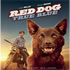 Movies for Dog Lovers: Ultimate Guide