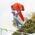Moomba Birdman Rally 2026