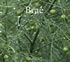 Brae | World's 50 Best Restaurant