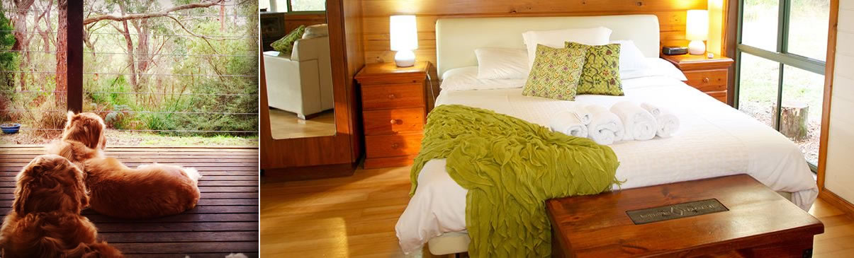 Cape Otway Cottages