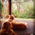 Cape Otway Cottages
