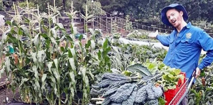 Collingwood Children's Farm | Open Hours & Tickets