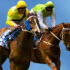 Country Horse Racing | Today