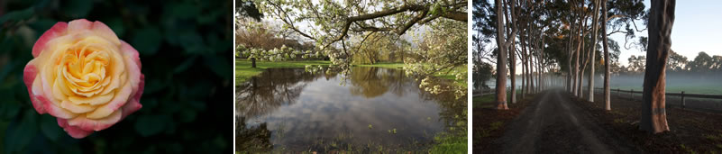 Cruden Farm | Open Sundays + Garden Tours