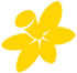 Daffodil Day 2025