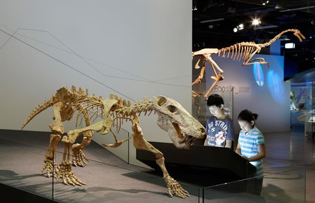 Dinosaur Walk @ Melbourne Museum