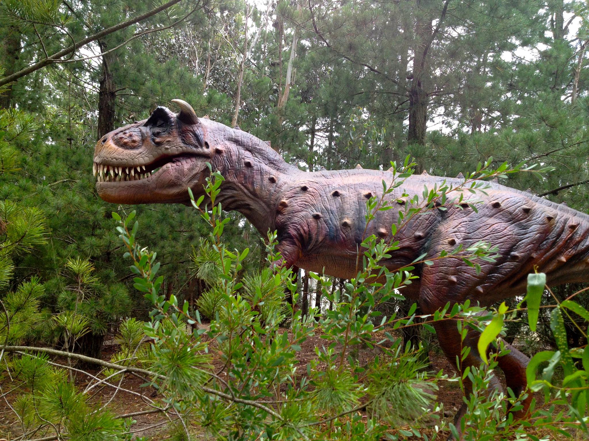 Dinosaur World | Open