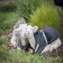Edgar's Mission Farm Sanctuary