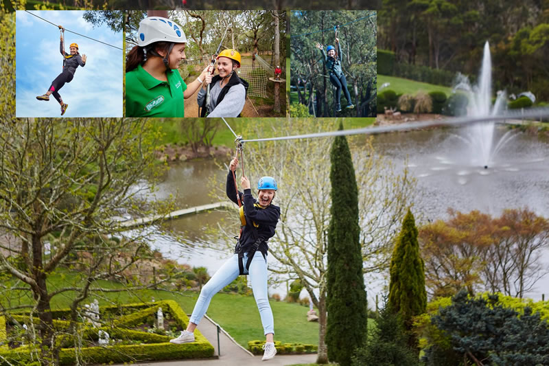 Tree Surfing | Enchanted Adventure Garden Tree Surfing | Enchanted Adventure Garden