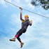 Tree Surfing | Enchanted Adventure Garden - Mornington Peninsula