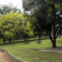 Fawkner Park | South Yarra