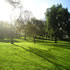Flagstaff Gardens