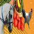 Foster & District Agricultural Show 2026