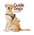 Guide Dogs | Australia