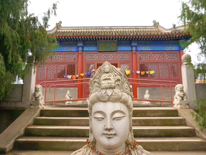 Golden Dragon Museum | Open Hours