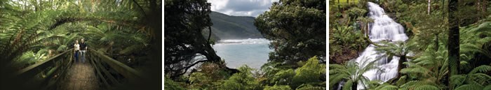 Great Otway National Park