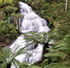 Great Otway National Park