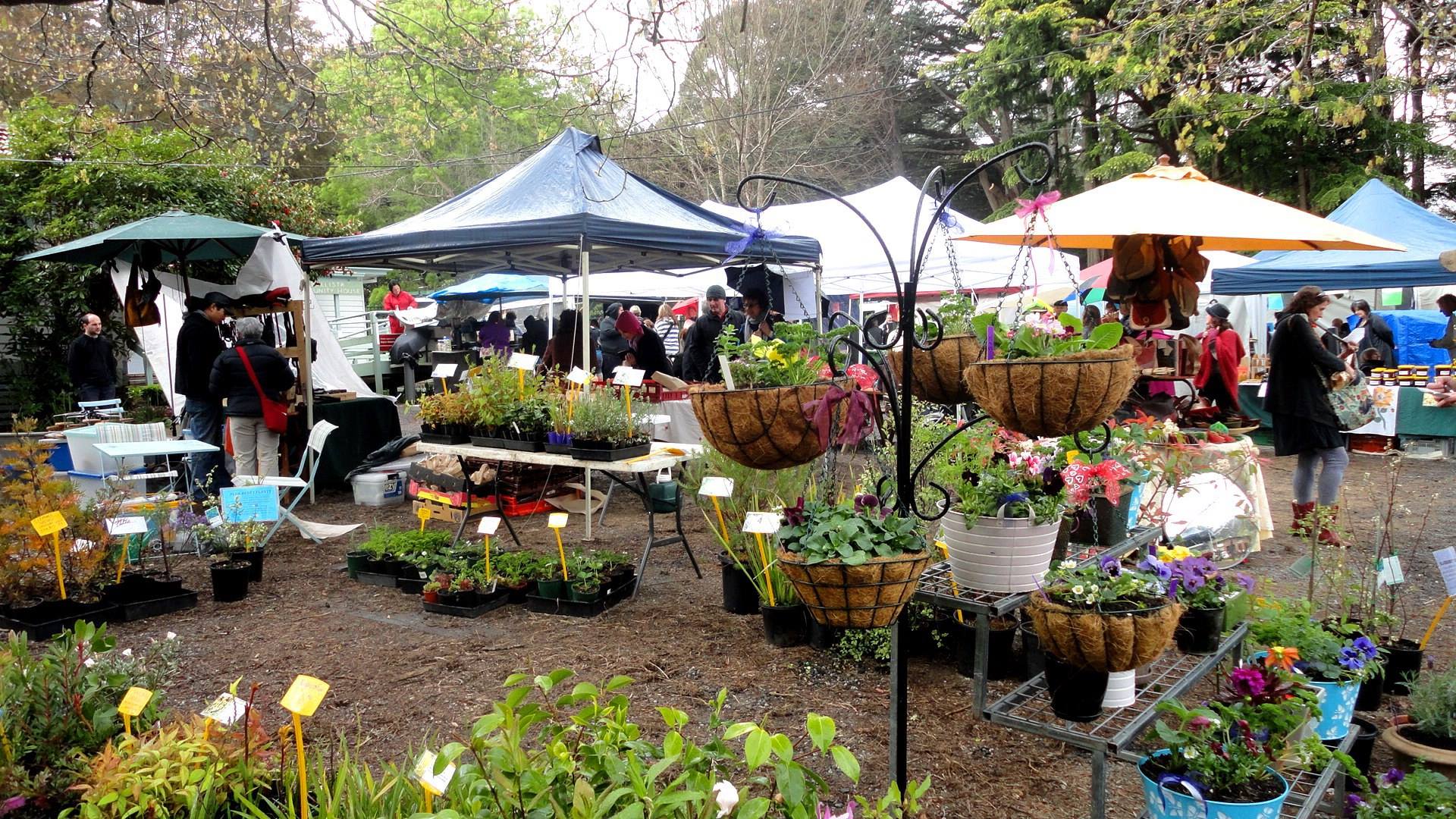 Grantville Market