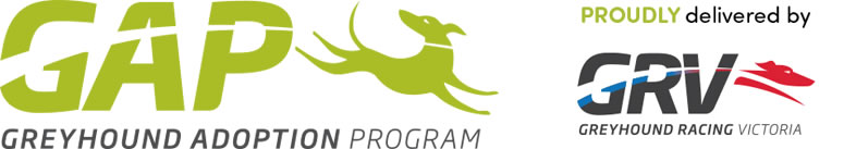 Greyhound Adoption Program