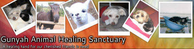 Gunyah Animal Healing Sanctuary